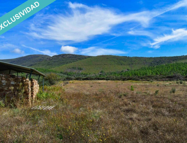 Rustic land For sell in Acebo in Cáceres 