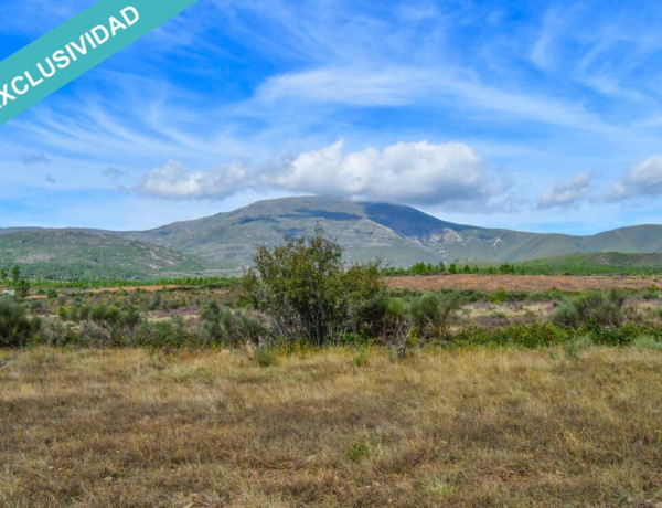 Rustic land For sell in Acebo in Cáceres 