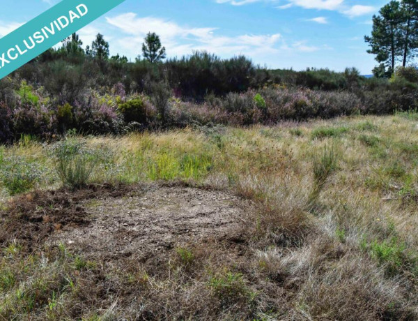 Rustic land For sell in Acebo in Cáceres 