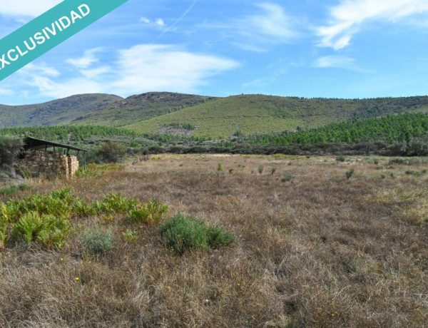 Rustic land For sell in Acebo in Cáceres 