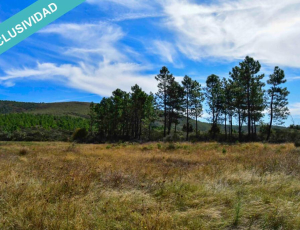 Rustic land For sell in Acebo in Cáceres 