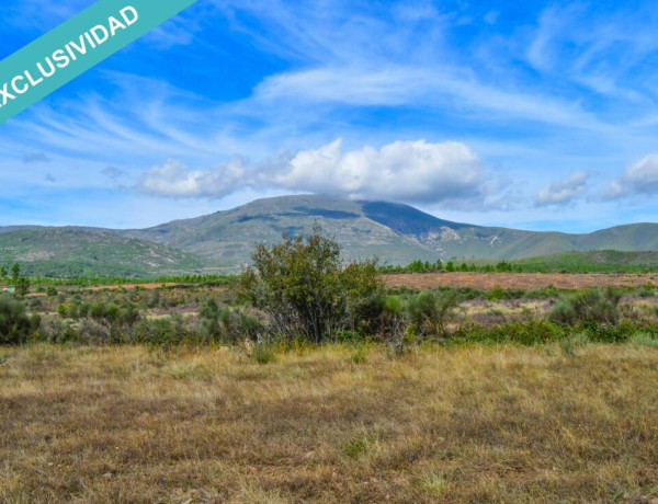 Rustic land For sell in Acebo in Cáceres 