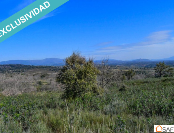 Rustic land For sell in Perales Del Puerto in Cáceres 