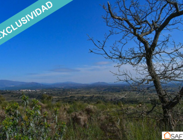 Rustic land For sell in Perales Del Puerto in Cáceres 