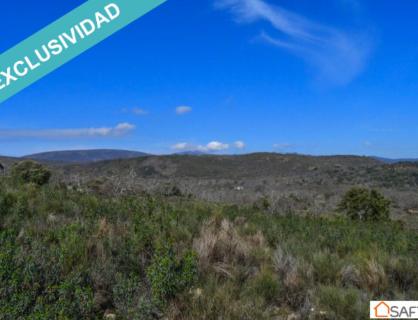 Rustic land For sell in Perales Del Puerto in Cáceres 