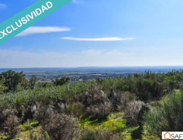 Rustic land For sell in Perales Del Puerto in Cáceres 