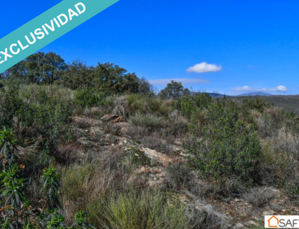 Rustic land For sell in Perales Del Puerto in Cáceres 