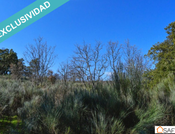 Rustic land For sell in Perales Del Puerto in Cáceres 