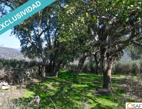 Rustic land For sell in Perales Del Puerto in Cáceres 