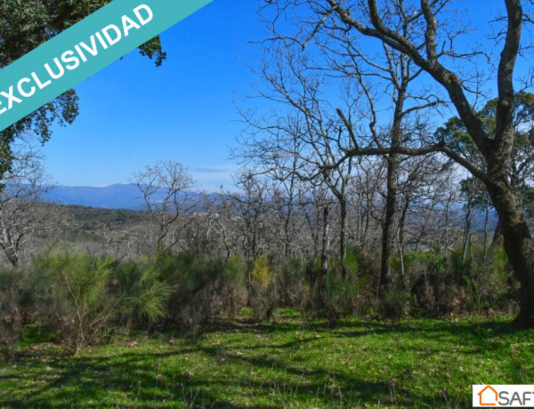 Rustic land For sell in Perales Del Puerto in Cáceres 