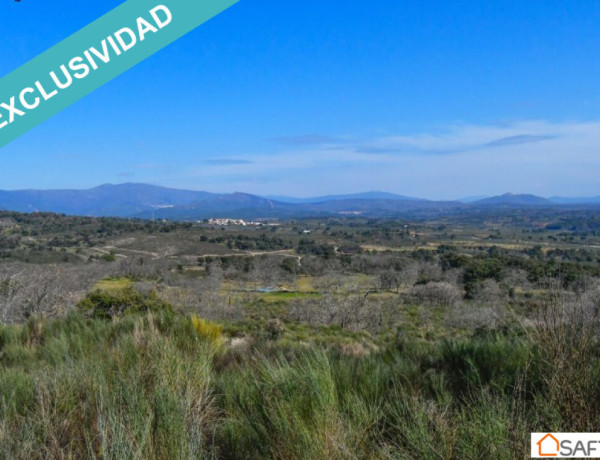 Rustic land For sell in Perales Del Puerto in Cáceres 