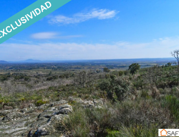 Rustic land For sell in Perales Del Puerto in Cáceres 