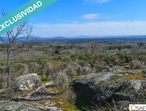 Rustic land For sell in Perales Del Puerto in Cáceres 