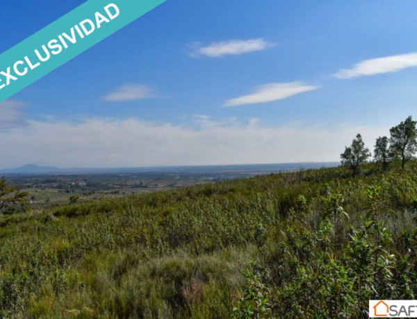 Rustic land For sell in Perales Del Puerto in Cáceres 