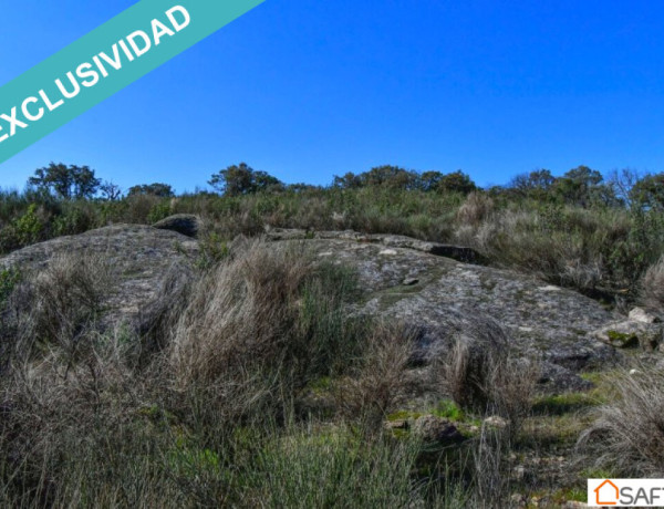 Rustic land For sell in Perales Del Puerto in Cáceres 