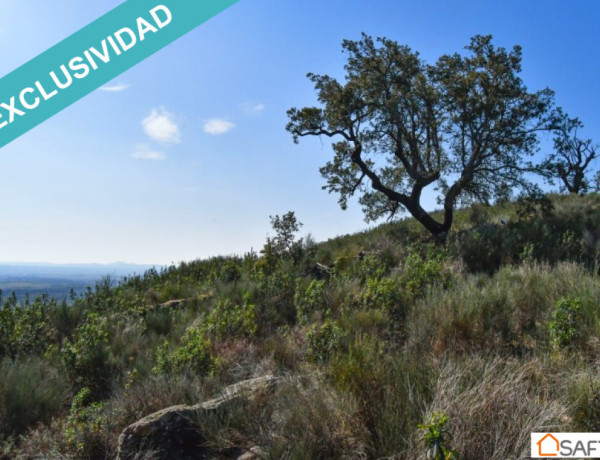 Rustic land For sell in Perales Del Puerto in Cáceres 