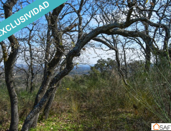 Rustic land For sell in Perales Del Puerto in Cáceres 