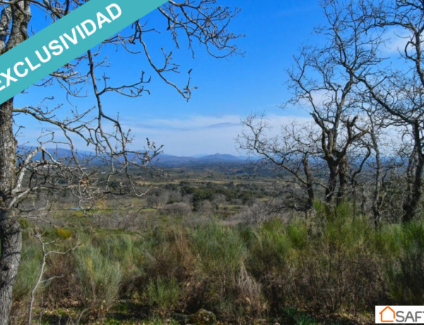 Rustic land For sell in Perales Del Puerto in Cáceres 