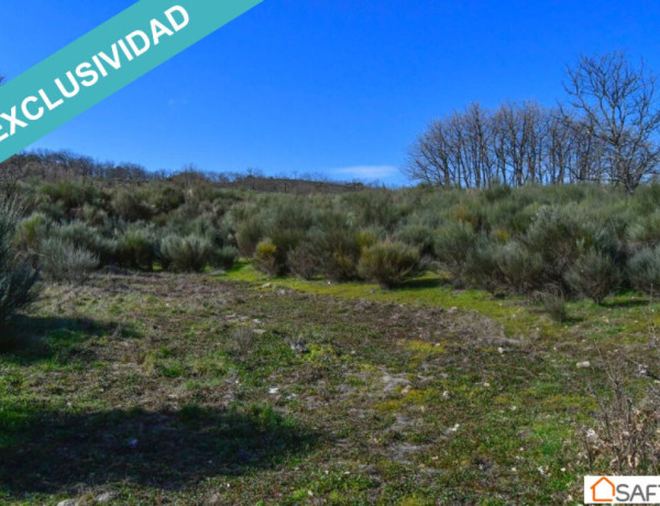 Rustic land For sell in Perales Del Puerto in Cáceres 