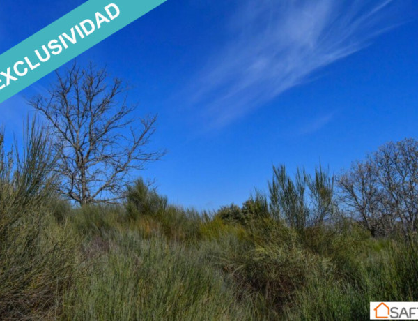 Rustic land For sell in Perales Del Puerto in Cáceres 