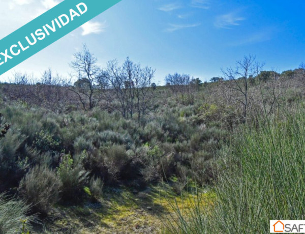 Rustic land For sell in Perales Del Puerto in Cáceres 