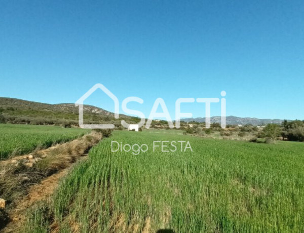 Terreno Rustico de 66,722 m2 Parcela con Caseta