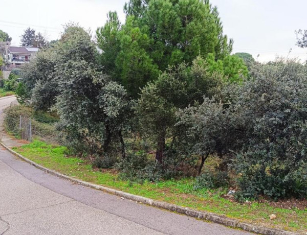 Urban land For sell in Villa Del Prado in Madrid 