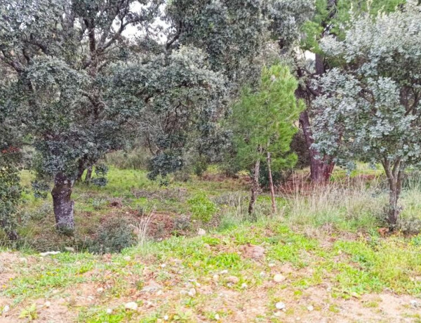 Urban land For sell in Villa Del Prado in Madrid 