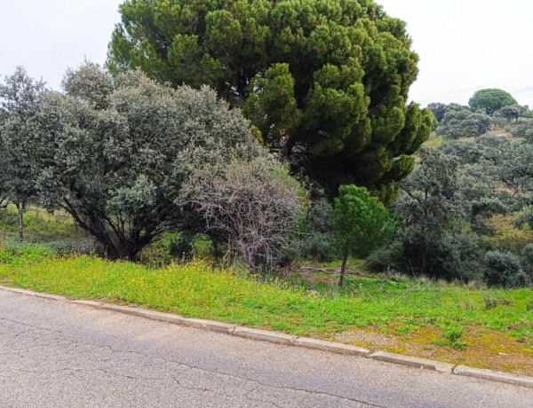 Urban land For sell in Villa Del Prado in Madrid 