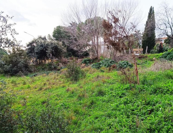 Urban land For sell in Villa Del Prado in Madrid 