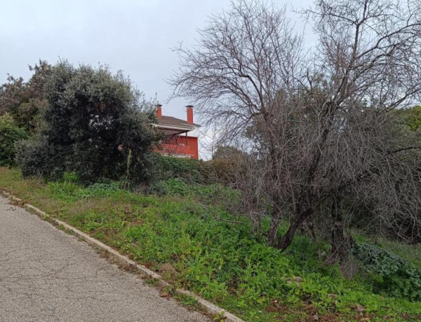 Urban land For sell in Villa Del Prado in Madrid 