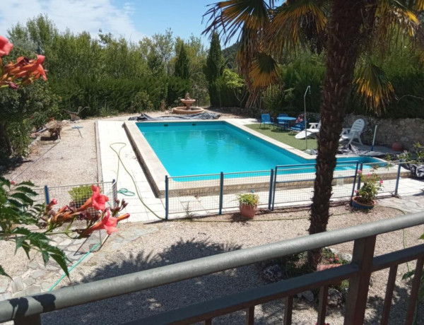 SE VENDE GRAN PARCELA CON OLIVOS, PISCINA Y CHALET