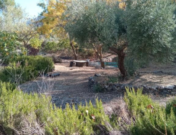 Rustic land For sell in Mancha Real in Jaén 