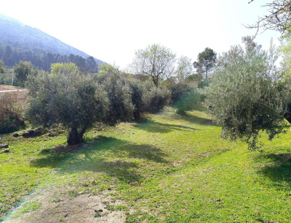 Rustic land For sell in Mancha Real in Jaén 