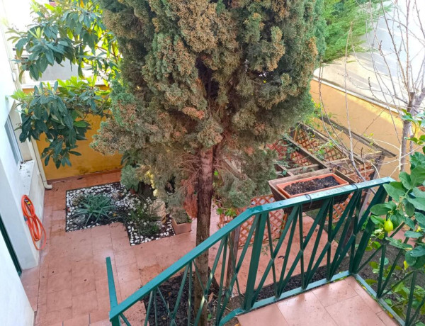 CASA ADOSADA CON GRAN COCHERA Y 2 PATIOS