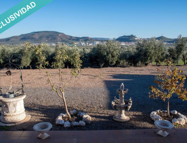 Rustic land For sell in Vilches in Jaén 