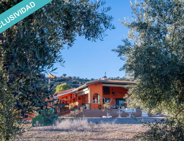 Finca de olivar con cortijo de lujo en Vilches