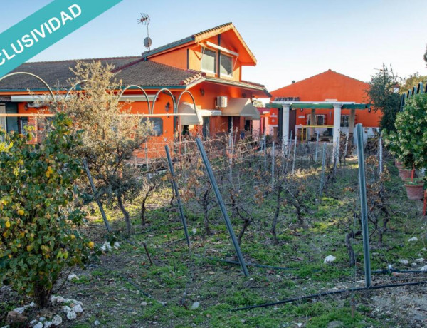 Rustic land For sell in Vilches in Jaén 