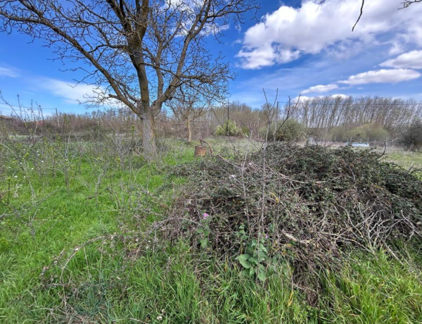 NUEVA OPORTUNIDAD. CASA DE PUEBLO PARA REFORMAR CON PATIO Y HUERTA