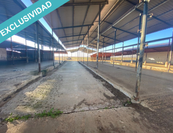 Commercial Premises For sell in Melgar De Arriba in Valladolid 