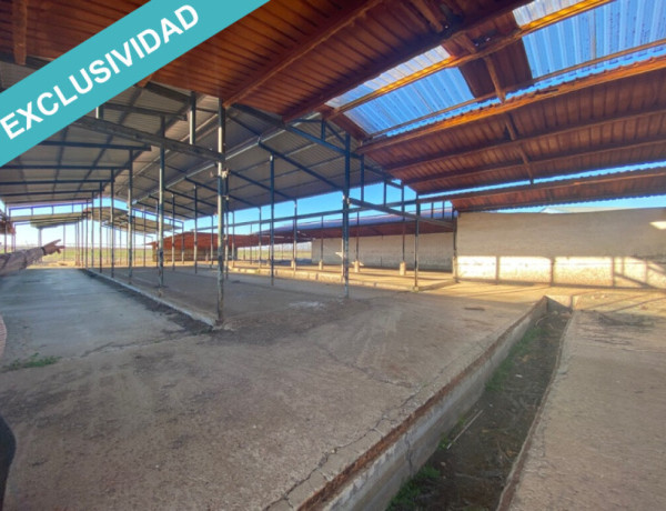 Commercial Premises For sell in Melgar De Arriba in Valladolid 