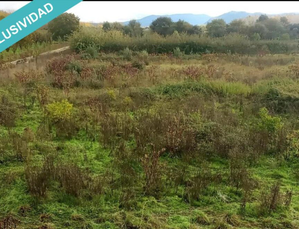 Rustic land For sell in Carracedelo in León 