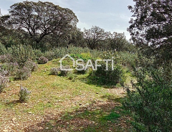 &quot;Construye tu hogar en Sotolargo: Naturaleza y comodidad&quot;