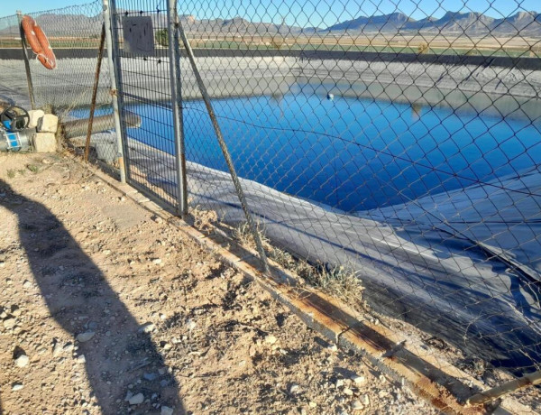 FINCA EN JUMILLA DE 10 HECTARIAS CON NAVE Y PANTANO