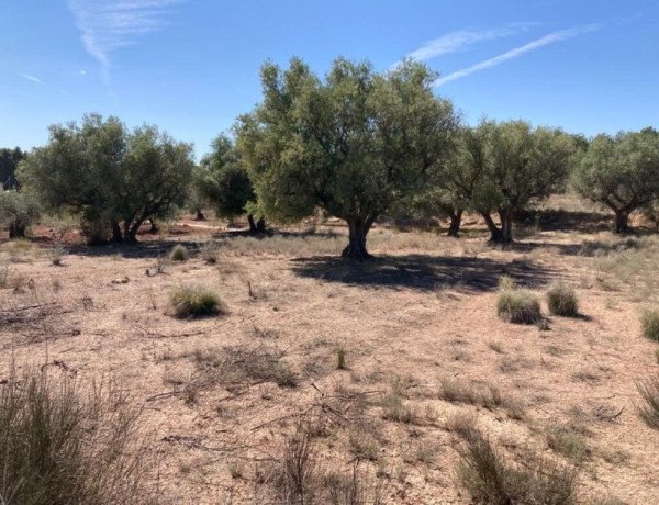 Urban land For sell in Cehegin in Murcia 