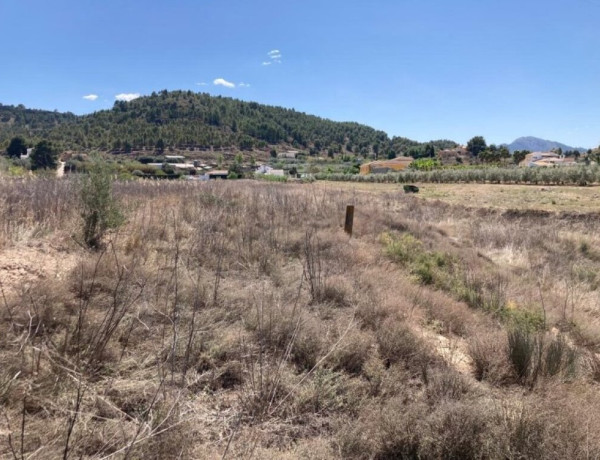 Residential land For sell in Cehegin in Murcia 