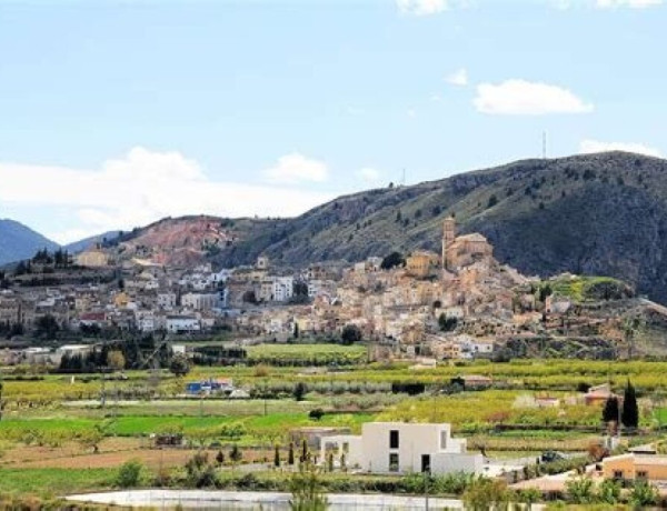 Residential land For sell in Cehegin in Murcia 