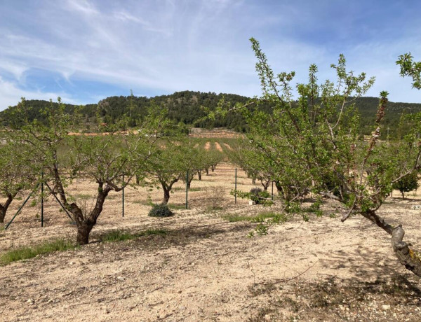 Increible finca en un paraje incomparable