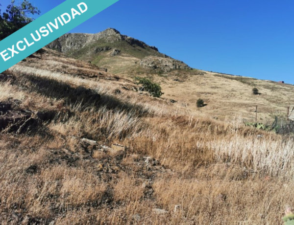 Rustic land For sell in Galdar in Las Palmas 