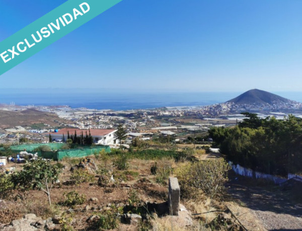 Rustic land For sell in Galdar in Las Palmas 